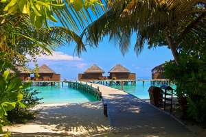 Малдивите